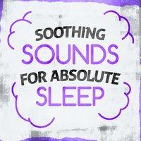 Soothing Sounds for Absolute Sleep