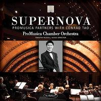 ProMuscia Chamber Orchestra