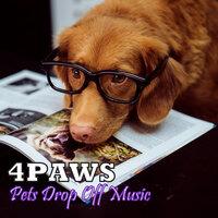 4PAWS: Pets Drop Off Music