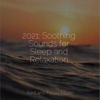 2021: Soothing Sounds for Sleep and Relaxation