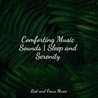 Comforting Music Sounds | Sleep and Serenity