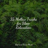 35 Mellow Tracks for Sleep Relaxation