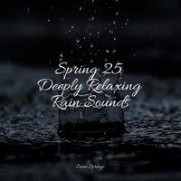 Spring 25 Deeply Relaxing Rain Sounds