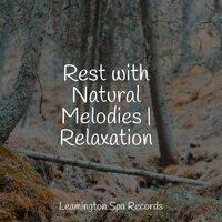 Rest with Natural Melodies | Relaxation