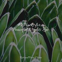 40 Tracks for a Peaceful Nights Zen