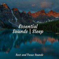 Essential Sounds | Sleep