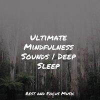 Ultimate Mindfulness Sounds | Deep Sleep