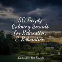 50 Deeply Calming Sounds for Relaxation & Relaxation