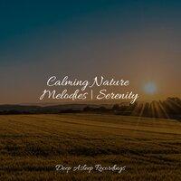 Calming Nature Melodies | Serenity