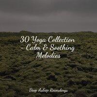30 Yoga Collection - Calm & Soothing Melodies