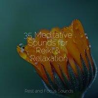 35 Meditative Sounds for Reiki & Relaxation