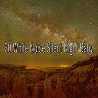 20 Белый шум, тихая ночь, детка