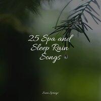 25 Spa and Sleep Rain Songs