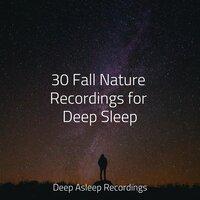 30 Fall Nature Recordings for Deep Sleep