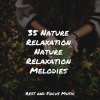 35 Nature Relaxation Nature Relaxation Melodies