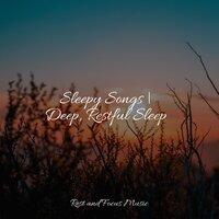 Sleepy Songs | Deep, Restful Sleep