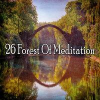 26 Лес Медитации