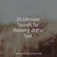 25 Ultimate Sounds for Relaxing at the Spa