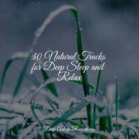 30 Natural Tracks for Deep Sleep and Relax