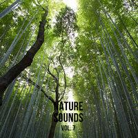 Nature Sounds, Vol.7 (Nature Music to Sleep)