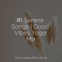 #1 Serene Songs | Good Vibes Yoga Mix