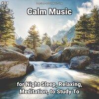 #01 Calm Music for Night Sleep, Relaxing, Meditation, to Study To