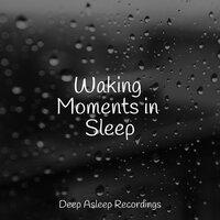 Waking Moments in Sleep