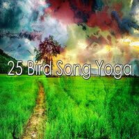 25 Птичьи песни Йога