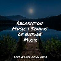 Relaxation Music | Sounds of Nature Music