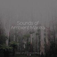 Sounds of Ambient Mantra