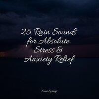 25 Rain Sounds for Absolute Stress & Anxiety Relief