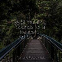 35 Stimulating Sounds for a Peaceful Ambience