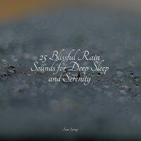 25 Blissful Rain Sounds for Deep Sleep and Serenity