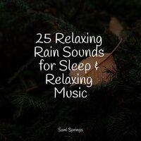 25 Relaxing Rain Sounds for Sleep & Relaxing Music