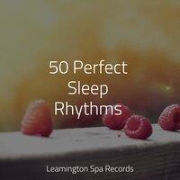 50 Perfect Sleep Rhythms