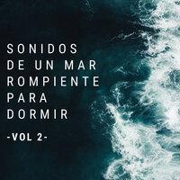Sonidos De Un Mar Rompiente Para Dormir Vol. 2