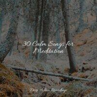 30 Calm Songs for Meditation