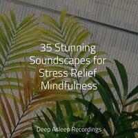 35 Stunning Soundscapes for Stress Relief Mindfulness