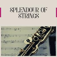 Splendour of Strings