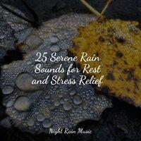 25 Serene Rain Sounds for Rest and Stress Relief