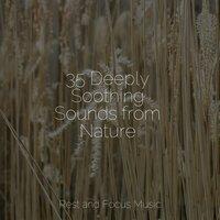 35 Deeply Soothing Sounds from Nature