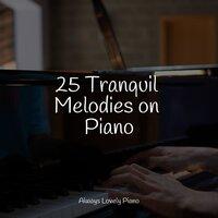 25 Tranquil Melodies on Piano