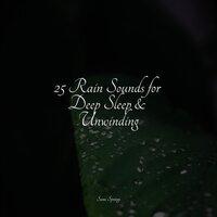 25 Rain Sounds for Deep Sleep & Unwinding
