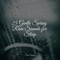 25 Gentle Spring Rain Sounds for Sleep