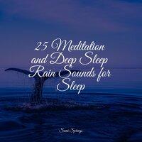 25 Meditation and Deep Sleep Rain Sounds for Sleep