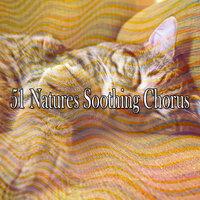 51 Natures Soothing Chorus