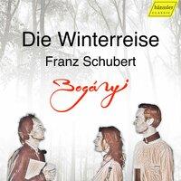 Schubert: Winterreise, Op. 89, D. 911 (Arr. for Oboe, Bassoon & Piano)