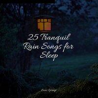 25 Tranquil Rain Songs for Sleep