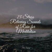 25 Stress Relieving Sounds of Rain for Meditation