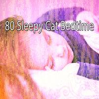 80 Sleepy Cat Bedtime